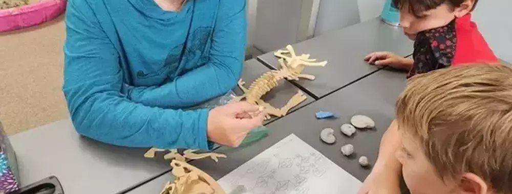 Carter Dino
