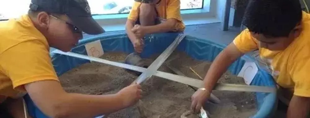 Dig Dat Dino