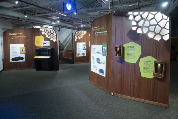 Exhibition Overview