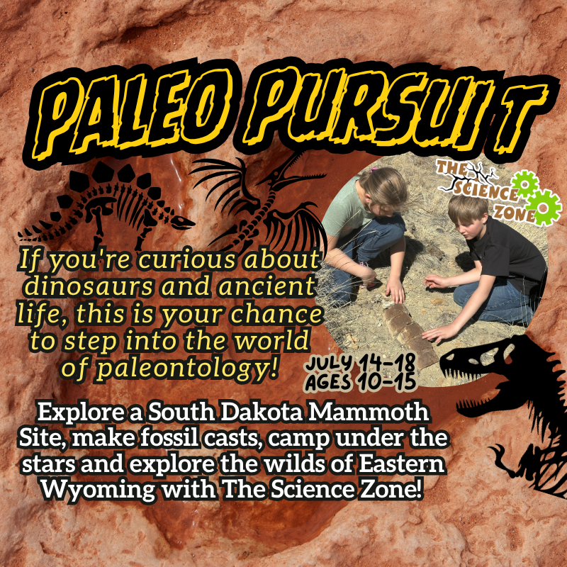 Paleo